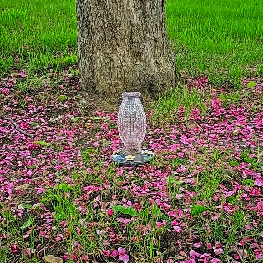 Humming Bird Feeder
